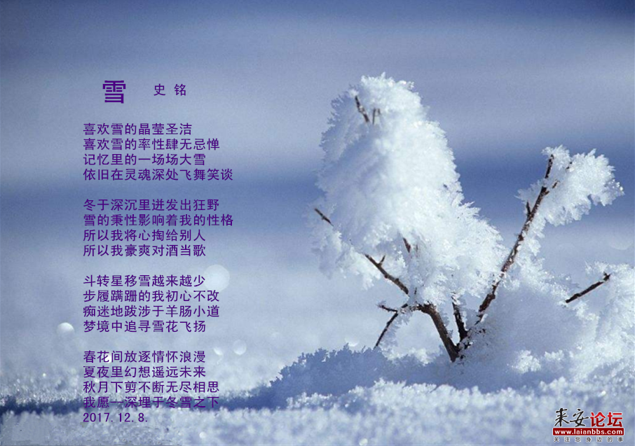 雪唯美意境 诗图片